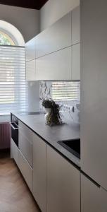 a kitchen with white cabinets and a counter top at Violet Lux Apartment in Daugavpils