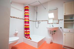 a bathroom with a shower and a toilet and a sink at Kapellenweg mit Hochschwarzwald-Card in Titisee-Neustadt +11 photos