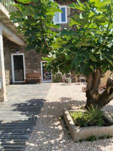 a tree in front of a building with a bench at Refúgio no Douro in Nogueira +16 photos