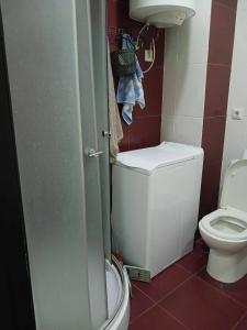 a small bathroom with a toilet and a shower at квартира на Ангиса in Itʼkhvisi