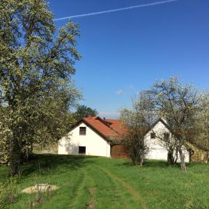 eine weiße Scheune mit rotem Dach auf einem Feld in der Unterkunft Ferienhaus Hochbrand in Rabenstein