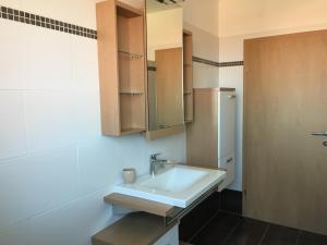 łazienka z umywalką i prysznicem w obiekcie Ferienhaus Hochbrand w mieście Rabenstein