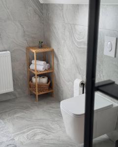 a bathroom with a toilet and a shelf with towels at Villa Alba in Kupres +54 photos
