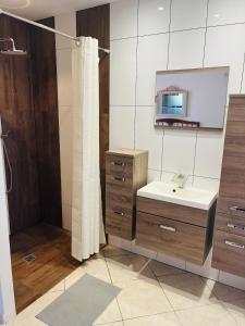 a bathroom with a sink and a shower and a mirror at Villa 3 chambres avec piscine et parking privés in Calenzana