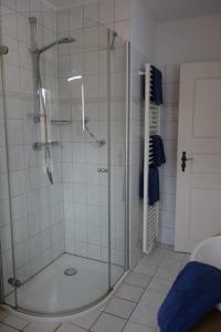 a shower with a glass door in a bathroom at Ferienwohnung Klantem EG in Oldsum