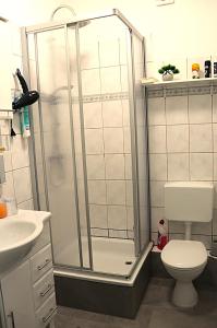 a bathroom with a shower with a toilet and a sink at Ferienwohnung Apartment am Klosterhof Aschersleben in Aschersleben
