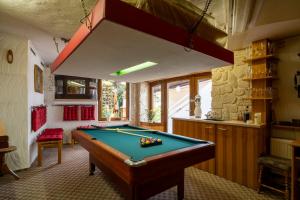 a billiard room with a pool table in it at Lux Ferienwohnung altes Landwarenhaus mit Garten und zubuchbarer Sauna in Hedersleben