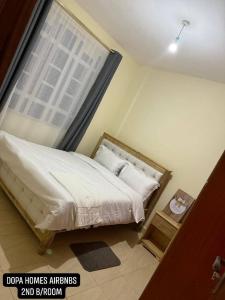 a bedroom with a large bed and a window at Dopa Homes Airbnbs in Meru