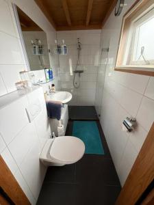 a bathroom with a toilet and a sink at Cottage Nieuwkoop in Nieuwkoop
