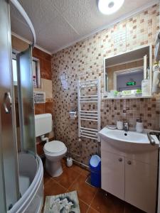 une salle de bain avec toilettes, lavabo et miroir dans l'établissement Casa Farcaș Bușteni, à Buşteni
