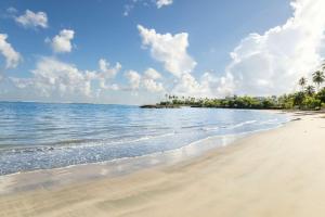 a sandy beach with palm trees and the ocean at AQUA Terrazas Studio 7 - Beachfront Getaway with King Bed & Pool in Dorado
