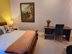 开普敦Bishopsfield Guesthouse Rondebosch的一间卧室配有一张床、一张书桌和一幅画 更多2张照片