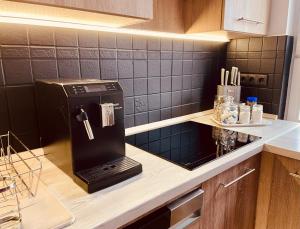a kitchen with a black refrigerator on a counter at Malaika Apartman in Sátoraljaújhely