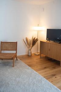 un salon avec une télévision à écran plat et une chaise dans l'établissement bei Stefanie, à Bad Kötzting