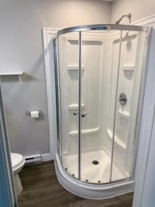 a shower stall in a bathroom with a toilet at Waterfordbridge Apartments - 2 Bedroom Mainfloor in St. John's