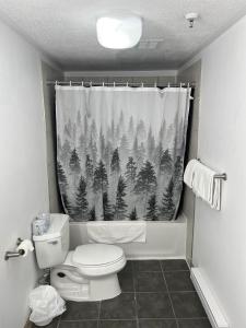 シドニーにあるHarbourview Inn, SureStay Collection by Best Westernのトイレとシャワーカーテン付きのバスルーム