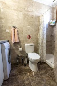 ミティリニにあるVernardaki apartmentのトイレとシャワー付きのバスルーム