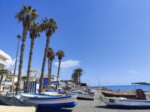 a group of boats on a beach with palm trees at Refugio del Mar Primera linea a estrenar in Algarrobo-Costa