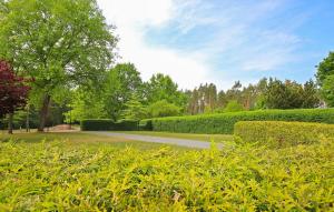 a road in a park with bushes and trees at Ferienwohnung Zislow in Zislow +12 photos