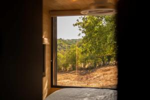 PinayにあるLodge Grand Confort - 1h de Lyon - Vue sur Loireの森の景色を望む部屋の窓