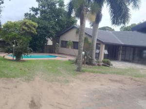 a house with a palm tree in the yard at Nqabanqaba 12 in Meer en See