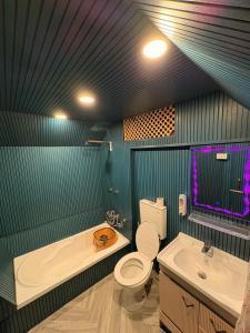 a bathroom with a toilet and a tub and a sink at Majestic empire group of houseboat in Srinagar