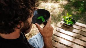Taman di luar Homnest - Infusion Provençale - Lisière & Ocres