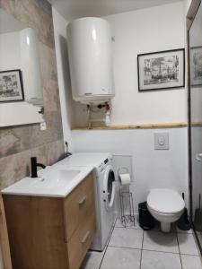 a bathroom with a sink and a washing machine at T2 5 Lys - centre ville, parking privé in Saint-Louis