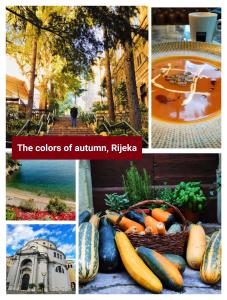 a collage of photos with a picture of the colors of autumn russia at Center Rooms with terrace in Rijeka
