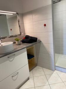 un bagno con lavandino e doccia di Gite du Trefoux logement le Villainois a Villaines-la-Gonais Altre 11 foto