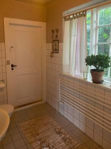 a bathroom with a toilet and a window with a potted plant at Forest Ranger's House With Sea View In Kalvehave in Kalvehave