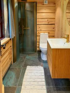 EjstrupにあるAuthentic Log Cabin In Forest Near Ejstrupholmのトイレ、洗面台、シャワー付きのバスルーム