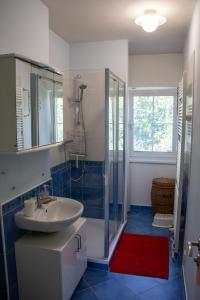 a bathroom with a sink and a glass shower at Holiday Home Prague Pruhonice in Pruhonice