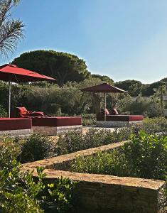 two benches with umbrellas in a garden at Vyylla Private Resort in Saint-Tropez
