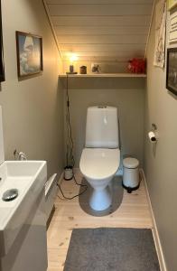 a bathroom with a white toilet and a sink at Idyllic Farm With Access To Boathouse And Jetty in Mandal +26 photos