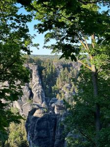 a view of the blue mountains through trees at Kaiser`s Holiday Home Apartments mit privater Sauna in Struppen