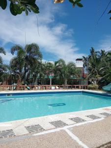 ein Swimmingpool in einem Resort mit Palmen in der Unterkunft Bulls residence seaview in Toledo City