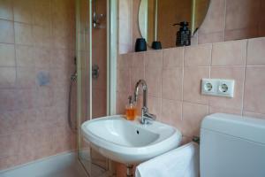 a bathroom with a sink and a shower at Alter Schulhof in Oberstaufen +15 photos
