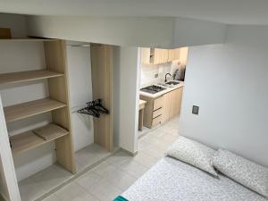 Η κουζίνα ή μικρή κουζίνα στο Apartamento San Francisco BUC