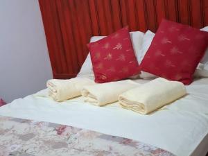 a bed with red pillows on top of it at CABANUȚA de sub Masivul Penteleu in Varlămul +14 photos