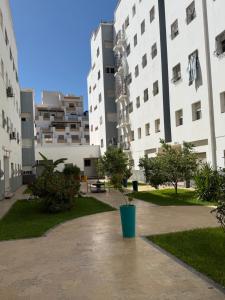 a courtyard in a building with a potted plant at Appartement Ovalley SAFI in Safi