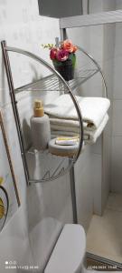 San AntonioにあるDepartamento en Recoleta - San Blasのタオルと花が飾られたバスルームのガラス棚