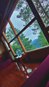 Příroda nedaleko apartmánu + 7 fotografií