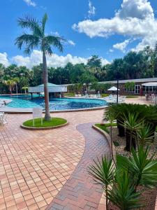 una piscina con una palmera en el medio en FLAT EM BARREIRINHAS - Gran Solare Lencois, en Barreirinhas
