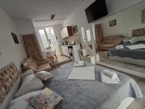 a large living room with a bed and a couch at Studio Ultracentral OGLINDA in Arad
