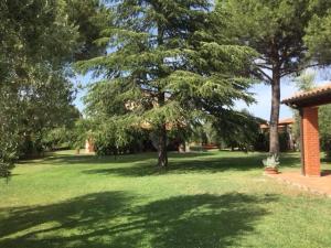 A garden outside Agriturismo Il Puntoncino