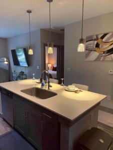 una cucina con un lavello e un piano di lavoro di Large Buckhead modern suite ad Atlanta Altre 20 foto