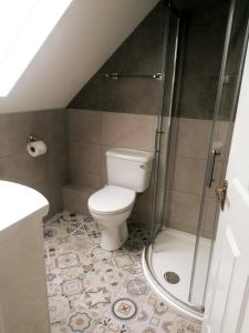 a bathroom with a toilet and a shower at Loophead Self Catering Cottage in Kilrush +25 photos