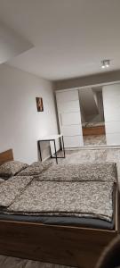 a bedroom with a large bed in a room at Apartament 45 in Olszewnica Nowa