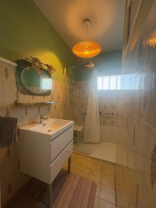 a bathroom with a sink and a shower at Chez Micheline et Gilbert in Villebernier +55 photos